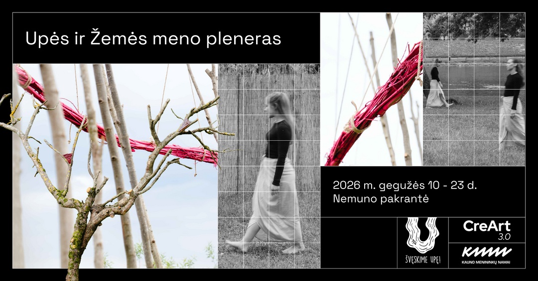 Pleneras 2026